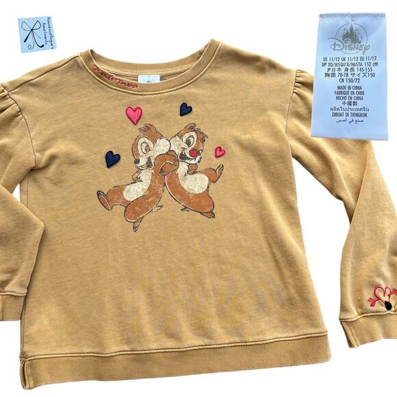 Disney Chip and Dale Friends Forever Pullover Kids Sz 11/12 - Picture 1 of 7